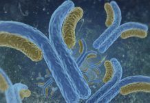 Studie ger stöd för Mabthera vid ms