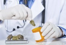 Omstritt om cannabis som medicin