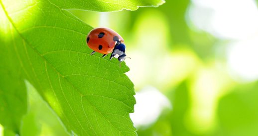 Ett halvår med prisfokus