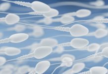 Ny upptäckt kan ge manligt preventivmedel