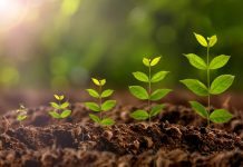 Cannabisläkemedel gav längre överlevnad