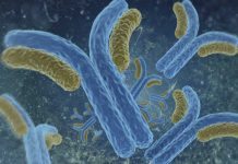 Kemipris till utveckling av antikroppar och enzymer