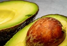 Avokadokärnor kan innehålla värdefulla ämnen