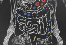 Probiotika ändrar bakterier vid cancer