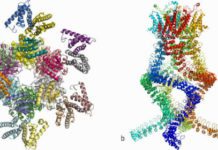 Nobelpriset i kemi för ”cool bildmetod”