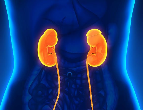 Ny studie av semaglutid ger hopp för njursjuka