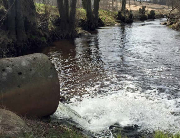 Replik: Märkligt att bortse från svensk lagstiftning