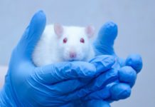 Brexit sinkar EMA:s arbete mot djurförsök Läkemedelsvärlden