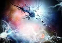 Transplantation innebär genombrott för MS-sjuka