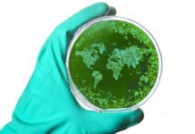 Antibiotikaresistens var vanligast i Ryssland världen medicin antibiotika storliten