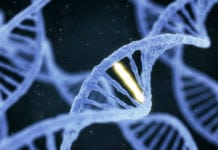 Genvariant avgör effekt av antipsykotisk behandling