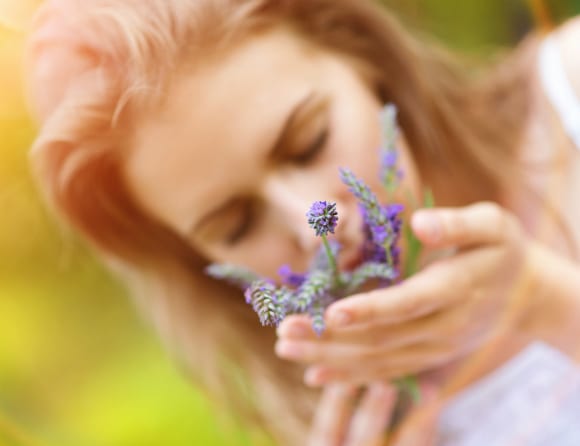 Lugnande ämne i lavendel verkar via luktsinnet