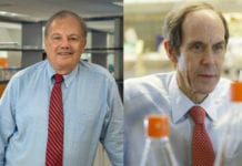 Sjöbergpriset till målstyrda cancerbehandlingar