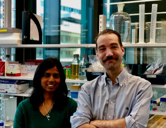 Behandlingsbar mekanism hittad vid schizofreni