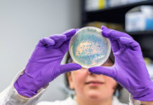 Patent till Umeåforskning för ny klass av antibiotika Läkemedelsvärlden