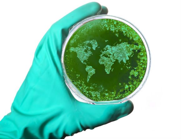 Antibiotikaresistens dödar 36 000 om året i USA