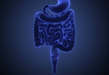 Behandling med avföring väcker frågor tarmar