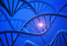 NT-rådet rekommenderar ej bred genanalys i rutinvård Mutation