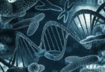 Satsar 80 miljoner på Genomic medicine Sweden