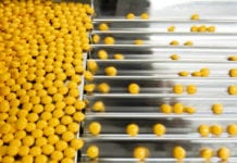 Nya data: stora utsläpp vid tillverkning