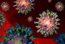 Fortsatt utbrott av mässling oroar i Storbritannien mässlingvirus