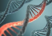 EMA säger ja till ny genterapi mot blödarsjuka Läkemedelsvärlden