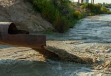 WHO-standard efter svensk forskning Läkemedelsvärlden