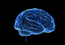 Tidiga resultat av vaccin mot hjärntumör ger hopp Läkemedelsvärlden