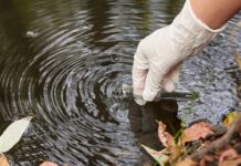 Läkemedelsrening effektiv men dyr Läkemedelsvärlden