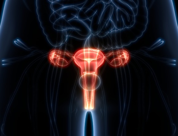 Hemtest för livmoderhals-cancer blir permanent