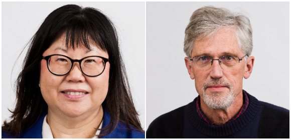 Region Värmland nådde WHO-målet