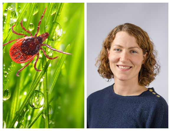 ”Drömmen är nya behandlingar mot TBE”