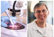 Testar ny cellterapi mot diabetes typ 1 på patienter För första gången ska potentiellt botande cellterapi mot diabetes typ 1 testas på patienter, berättar överläkare och professor Per-Ola Carlsson, Akademiska sjukhuset och Uppsala universitet. Foto: Istock/Akademiska sjukhuset