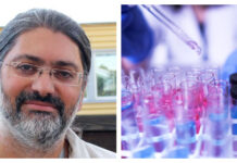 Han tar fram stoppmedicin mot covid Virusforskaren Ali Mirazimi arbetar med ett läkemedel som ska stoppa covid. Foto: KI/Istock