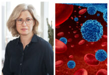 Ny dyr blodcancerterapi får ja bara om dosen sänks Läkemedlet kommer att göra stor skillnad för patienter med svårt multipelt myelom, enligt Åsa Derolf, NT-rådets ordförande. Foto: Hans Alm / Istock