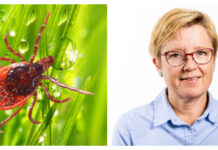 ”Ingen ska behöva avstå” Kollage TBE-vaccin Region Jönköping Malin Bengnér