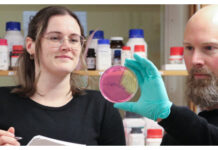 Skadar tarmfloran och tarmbarriären Upprepad antibiotikaanvändning kan skada den skyddande slembarriären i tarmen. Det visar forskning doktoranden Rachel Feeney och docent Björn Schröder vid institutionen för molekylärbiologi vid Umeå universitet gjort. Foto: Anna Shevtsova