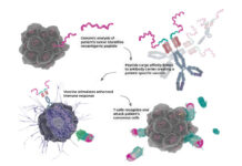 Forskare skapar t-cellsarmé mot cancer Läkemedelsvärlden