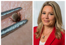 Börjar med TBE-rekommendationer i höst Läkemedelsvärlden