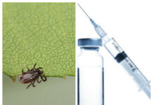 Priset på TBE-vaccination i alla landets alla regioner Läkemedelsvärlden