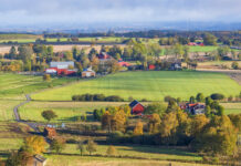 Bidrag till 51 apotek i glesbygd – liten minskning Foto: Istock