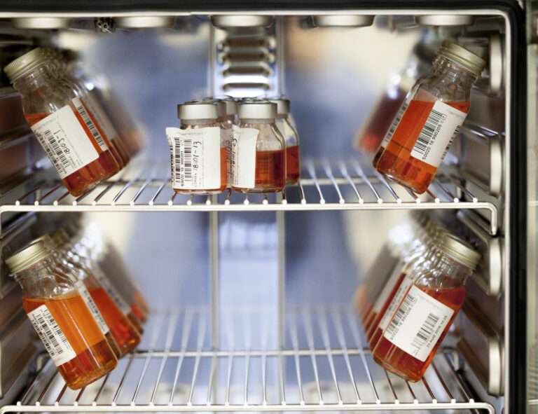 Donation av hornhinnor sätter nytt rekord