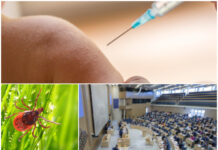 Många motioner om subvention av TBE-vaccin